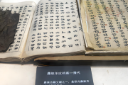 王子尧：中国彝文古籍文献藏书分布及现状调研