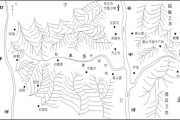 龙圣：明清“水田彝”的国家化进程及其族群性的生成——以四川冕宁白鹿营彝族为例
