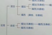巫达：颜色、象征与国家权力——凉山彝族的等级名称与民族名称