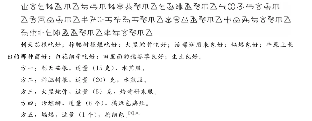 3哀牢山彝族医药翻译体例.webp